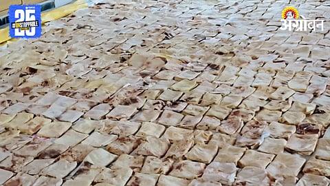Puran Poli for Warkari