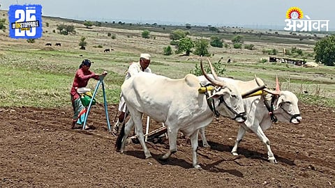 Agriculture Advisory 