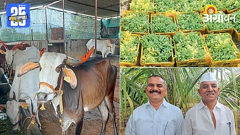 Progressive Farming 