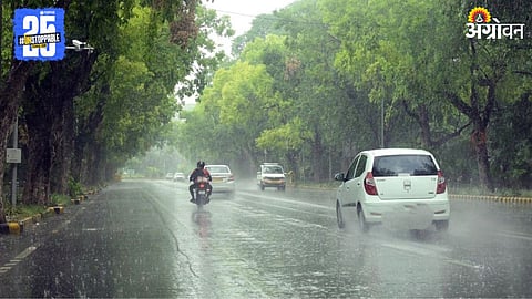 Rain Alert