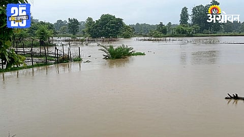 Gadchiroli Flood 