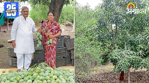 Farmer Success Story