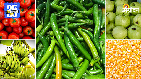 Agriculture Market Products