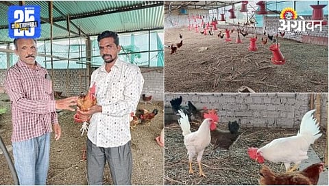 Poultry Farming 
