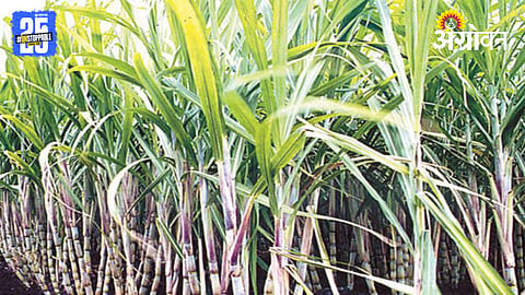 Killari Sugar Mill