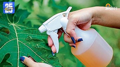 Pesticide