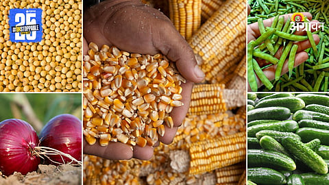 Agriculture Market Products