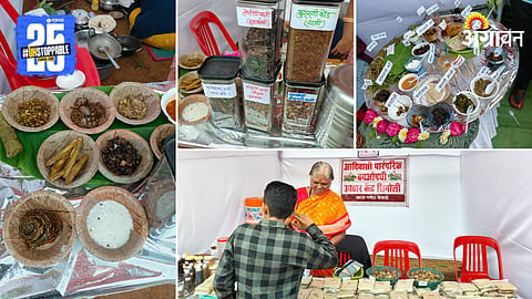Ranbhaji Mahotsav 2025