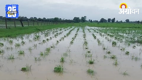Heavy Rain