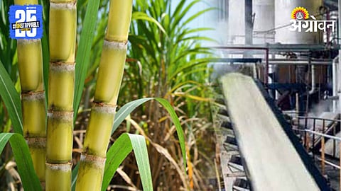 Sangli Sugar Production