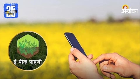 E Crop Survey