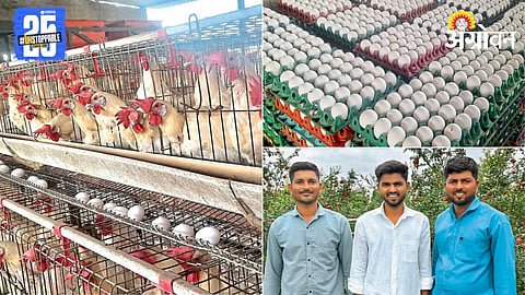 Poultry Farming 