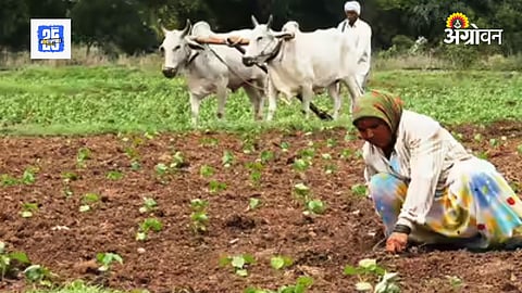 Kharif 2025 sowing