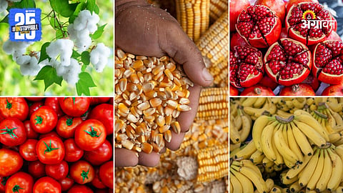 Agriculture Market Product