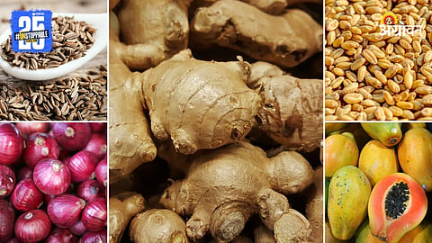 Agriculture Market Products