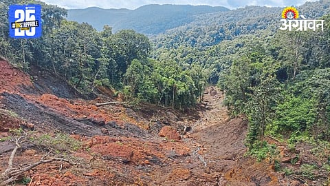 Maharashtra Forest 