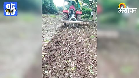 Soybean Crop Destroyed