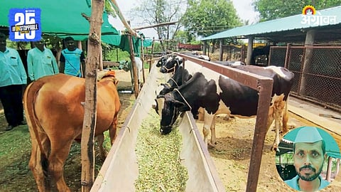 Animal Husbandry