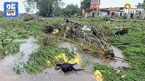 Latur Rain 