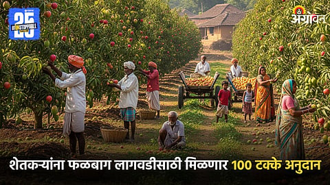 Fruit Orchard