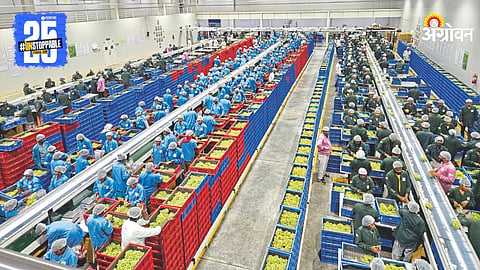 Agriculture Innovation