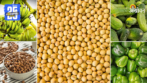 Agriculture Market Products
