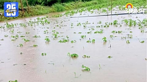 Crop Damage