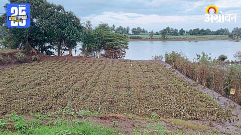 Crop Damage