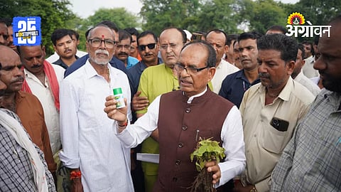 Farmers First