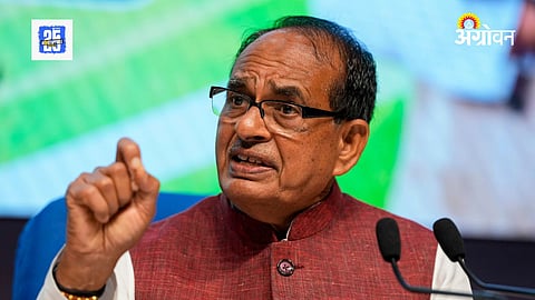 Shivrajsinh Chauhan