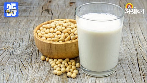 Soybean Processing 