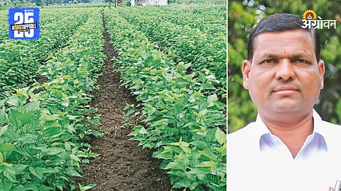Sericulture Farming