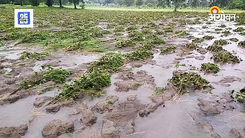 Crop Compensation