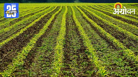 Zero Tillage