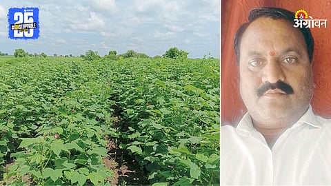 Cotton Farming