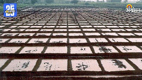 Agriculture