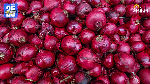 Onion Market