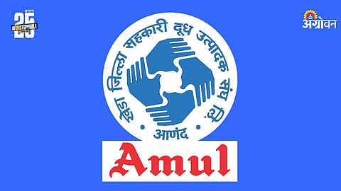 Amul Dairy Election