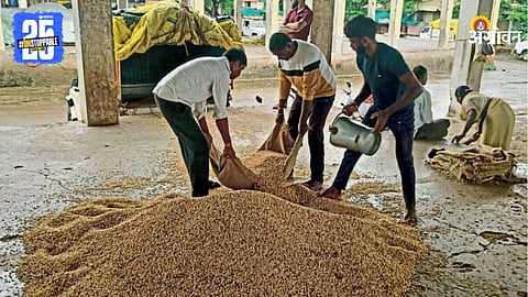 Soybean Market