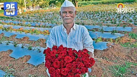 Rose Farming 