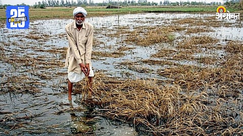 Farmer Crisis