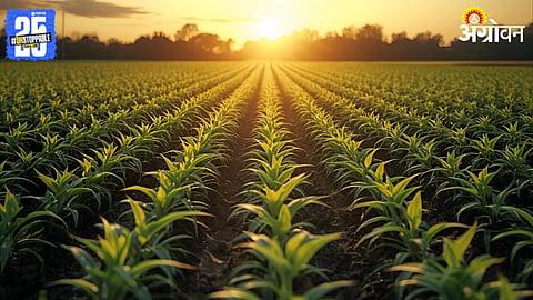 Climate Based Agriculture