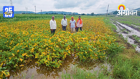 Crop Loss