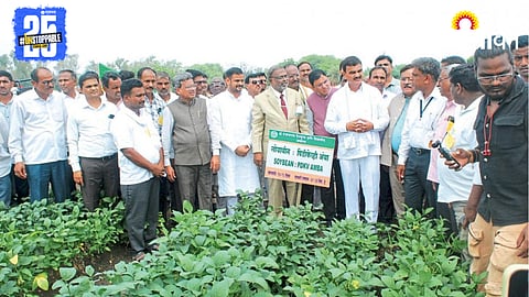 Crop Damage