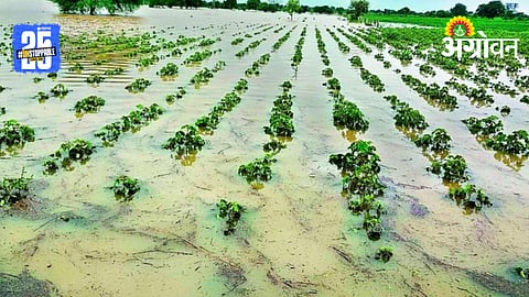 Western Vidarbha Rain
