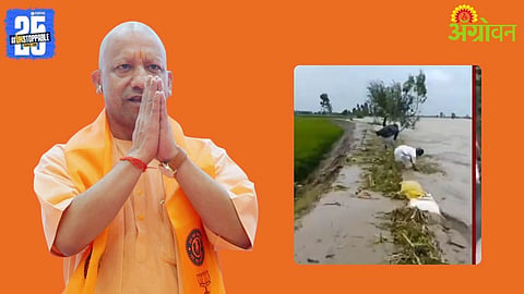Punjab Farmers