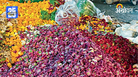 Flower Damage