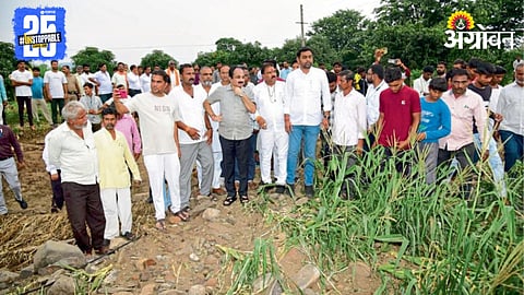 Crop Damage 
