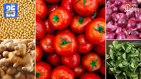 Agriculture Market Products