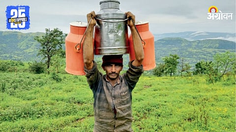 Farmer Shankar Baban Kachare